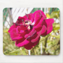 100_0302 MOUSEPAD
