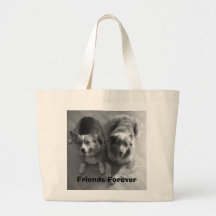 100_8125, amigos para sempre bolsas para compras
