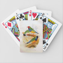 3 passarinhos de Gouldian baralhos