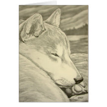 A arte do cão de Shiba Inu carda cartões feitos so