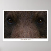 A arte INSUPORTÁVEL do ~ da BELEZA (urso de urso)  Poster