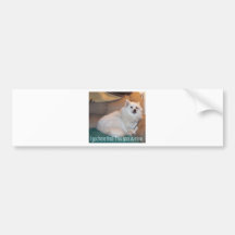 A atitude-eu de Eskie obteve aqui o primeiro Adesivos