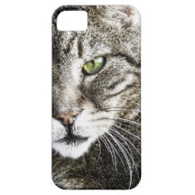 a cat capas de iPhone 5 Case-Mate