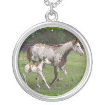 A colar do cavalo