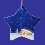 A estrela de Bethlehem & de DON QUIXOTE ornamentos