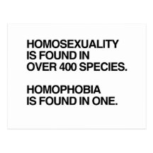 A HOMOSSEXUALIDADE É ENCONTRADA EM 400 ESPÉCIES CARTAO POSTAL