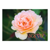 A imagem perfeita aumentou cartões de RSVP Convites Personalizado
