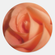 A laranja aumentou adesivos