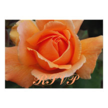 A laranja de RSVP aumentou Convites