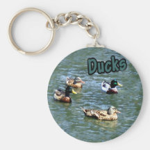 A natação Ducks a corrente chave Chaveiros