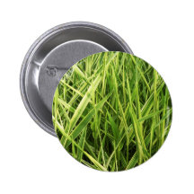 A natureza verde folheia Beaut verde natural da te Botons