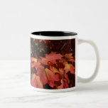 A queda colore a caneca