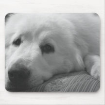 A vida do cão mousepads