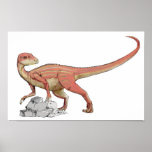 Abrictosaurus - carteira jurássico do dinossauro poster