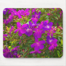 Abundância roxa mousepads