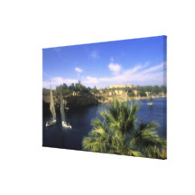 AF, Egipto, Egipto superior, Aswan. Rio Nile, Impressão De Canvas Esticada