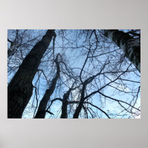 Agora e zen poster