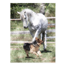 AGUARELA DO JOGO DO CAVALO & DO CÃO CARTOES POSTAIS