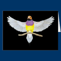 Alaranjado-cabeça Gouldian - gouldiae de Erythrura postais