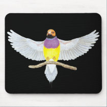 Alaranjado-cabeça Gouldian - gouldiae de Erythrura tapetes para ratos