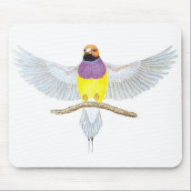 Alaranjado-cabeça Gouldian - gouldiae de Erythrura tapetes para ratos