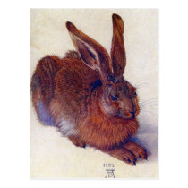 Albrecht Durer - GC da lebre do campo cartées postais