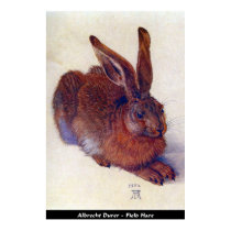 Albrecht Durer - poster da lebre do campo posters