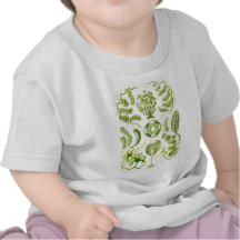 Algas verdes tshirt