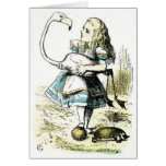Alice no país das maravilhas: Flamingo Cartões