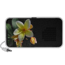 aloha caixinha de som para mini