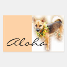 aloha etiqueta do cão adesivos retangulares
