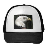 Americano Eagle Bonés