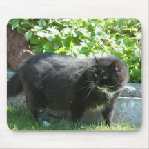 Amigo do jardim mousepads