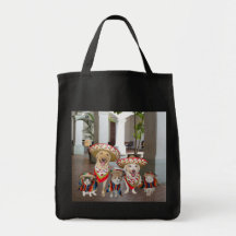 Amigo do Mis Bolsas Para Compras