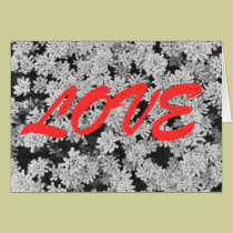 AMOR com flores brancas postais