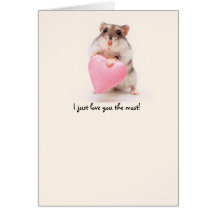 amor do hamster cartão
