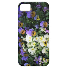 Amor-perfeito Capa iPhone 5