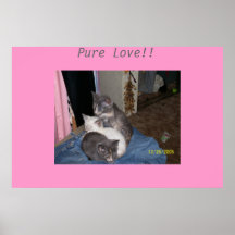 amor puro pôsteres