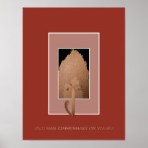 ANCIÃO ZIMMERMANS POSTER
