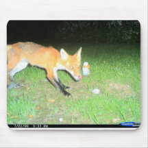 animais selvagens mousepad