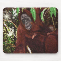 Animal-apoio Mousepad da mãe & do bebê do orangota