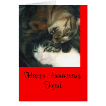Aniversário feliz, tigre! cartões