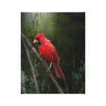 Anjo no vermelho impressão de canvas esticadas