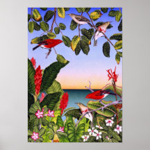 Apanepane havaiano poster