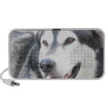Apple Doodle Alaskan Malammute pet dog Portátil Altavoces