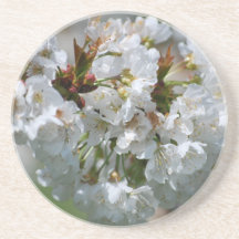 Apple floresce porta copos