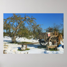 Apple vermelho cultiva a neve de outubro posteres