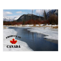 Aproximação amigável do primavera em Banff Cartao Postal