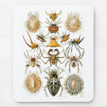 Aracnídeos (aranhas), Ernst Haeckel Mousepad
