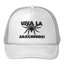 Aracnídeos do La de Viva Bonés